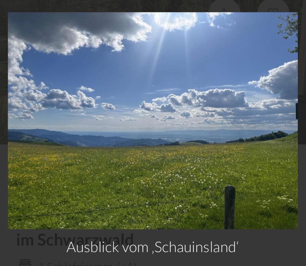 Toscana-Residenz Im Schwarzwald Utzenfeld 外观 照片